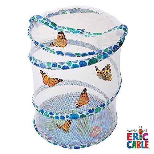  Insect Lore World of Eric Carle, The Very Hungry Caterpillar Butterfly Growing Kit with Live Caterpillars