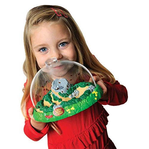  Insect Lore Deluxe Ladybug Land with Live Larvae