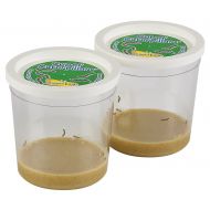 Insect Lore Live Cup of 10 Caterpillars to Butterflies - Butterfly Growing Kit REFILL - SHIP NOW