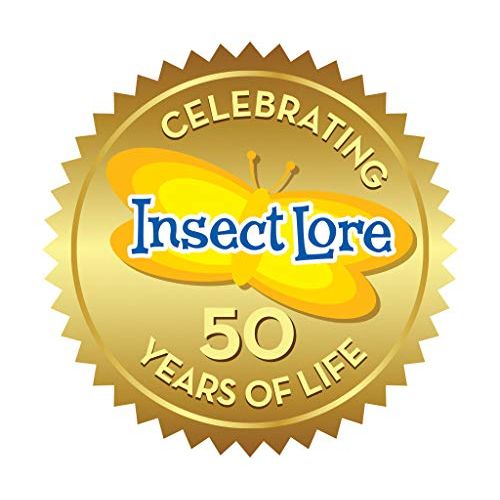  Insect Lore Butterfly Growing Kit - With Voucher to Redeem Caterpillars Later