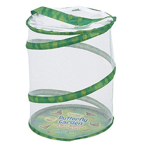  Insect Lore Butterfly Growing Kit - With Voucher to Redeem Caterpillars Later