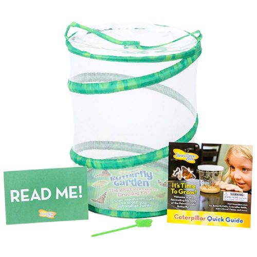  Insect Lore Butterfly Growing Kit - With Voucher to Redeem Caterpillars Later