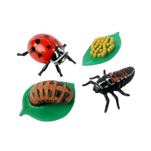  Insect Lore Live Baby Ladybug Larvae - Ladybug Growing Kit REFILL with Ladybug Life Cycle Toy Figurines - SHIP NOW