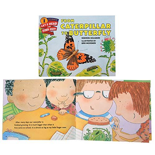  Insect Lore Butterfly Garden with Live Cup of Caterpillars  Caterpillar to Butterfly Book & Stickers Bundle