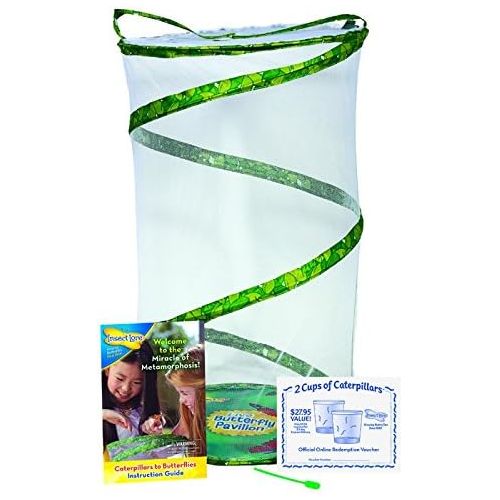  Insect Lore Butterfly Pavilion - Large Habitat Hatching Kit With Voucher For 10 Caterpillars