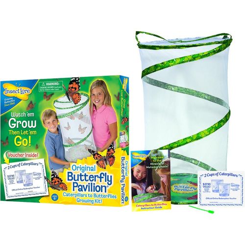  Insect Lore Butterfly Pavilion - Large Habitat Hatching Kit With Voucher For 10 Caterpillars