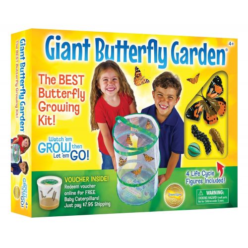  Insect Lore Giant Butterfly Kit: Deluxe 18 Habitat, Voucher For 5 Caterpillars, Butterfly Play Set