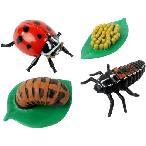  Insect Lore Life Cycle Figurines 24 Pc Set