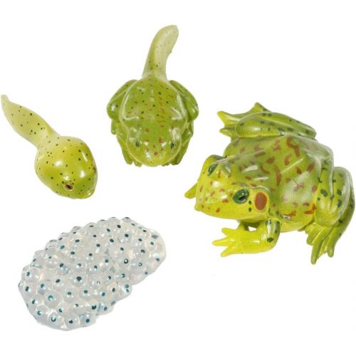  Insect Lore Life Cycle Figurines 24 Pc Set