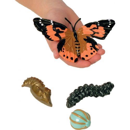  Insect Lore Life Cycle Figurines 24 Pc Set