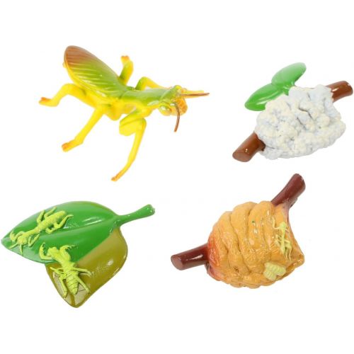  Insect Lore Life Cycle Figurines 24 Pc Set