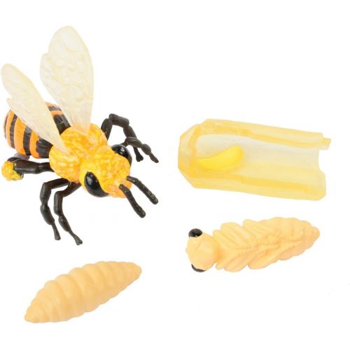  Insect Lore Life Cycle Figurines 24 Pc Set