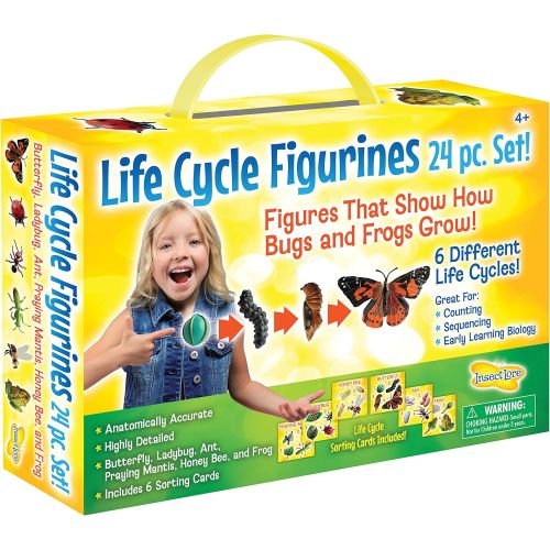  Insect Lore Life Cycle Figurines 24 Pc Set