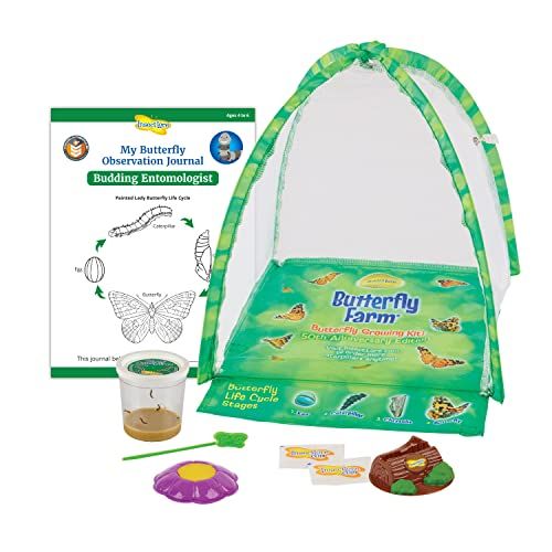  Insect Lore Butterfly Garden: Original Habitat and Two Live Cups of Caterpillars  Life Science & STEM Education