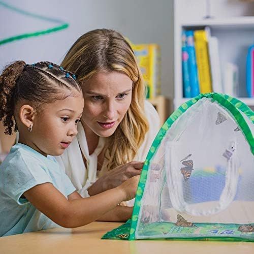  Insect Lore Butterfly Garden: Original Habitat and Two Live Cups of Caterpillars  Life Science & STEM Education