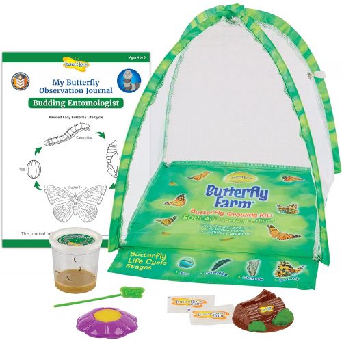  Insect Lore Butterfly Garden: Original Habitat and Two Live Cups of Caterpillars  Life Science & STEM Education