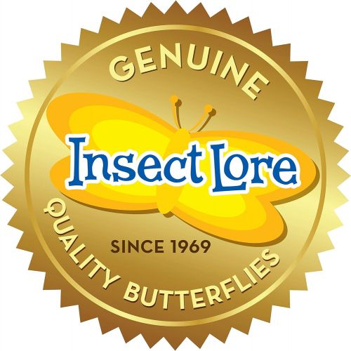  Insect Lore Butterfly Garden: Original Habitat and Two Live Cups of Caterpillars  Life Science & STEM Education