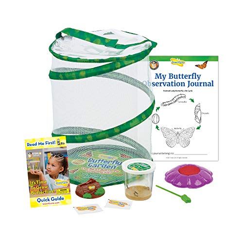 Insect Lore Butterfly Garden: Original Habitat and Live Cup of Caterpillars with STEM Butterfly Journal  Life Science & STEM Education  Butterfly Kit