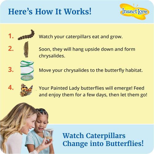  Insect Lore Butterfly Garden: Original Habitat and Live Cup of Caterpillars with STEM Butterfly Journal  Life Science & STEM Education  Butterfly Kit