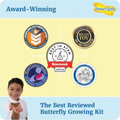  Insect Lore Butterfly Garden: Original Habitat and Live Cup of Caterpillars with STEM Butterfly Journal  Life Science & STEM Education  Butterfly Kit