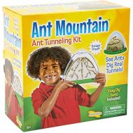 [아마존베스트]Insect Lore Ant Farm - Two Sided Ant Mountain- Includes Habitat, Sand And Voucher for Live Ants