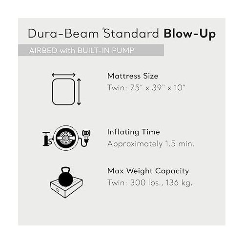 인텍스 Intex Dura-Beam Standard Pillow Rest Classic Air Mattress Series with Internal Pump