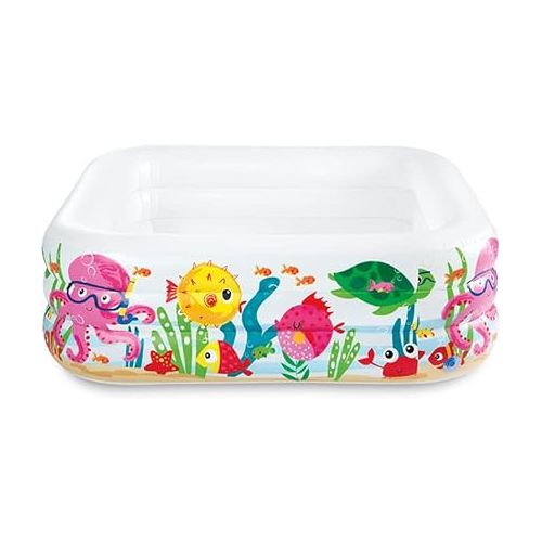 인텍스 Intex Swim Center Clearview Aquarium Inflatable Pool, 62.5