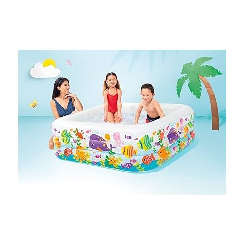 인텍스 Intex Swim Center Clearview Aquarium Inflatable Pool, 62.5