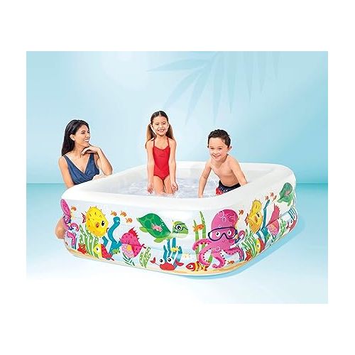 인텍스 Intex Swim Center Clearview Aquarium Inflatable Pool, 62.5