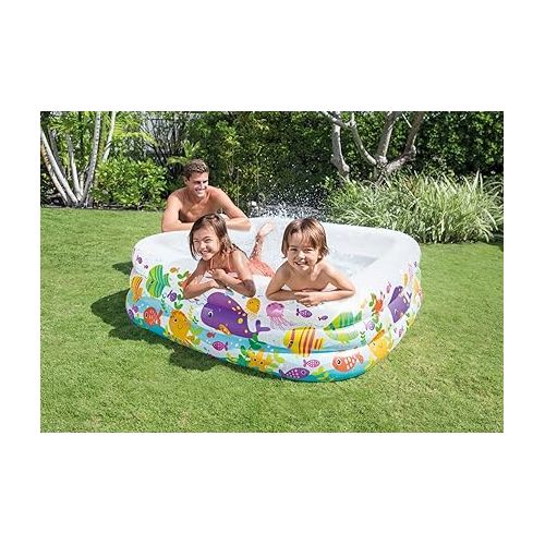 인텍스 Intex Swim Center Clearview Aquarium Inflatable Pool, 62.5