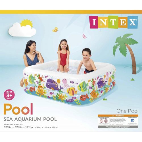 인텍스 Intex Swim Center Clearview Aquarium Inflatable Pool, 62.5 X 62.5 X 19.5, for Ages 3+