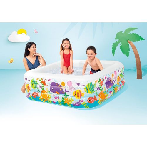 인텍스 Intex Swim Center Clearview Aquarium Inflatable Pool, 62.5 X 62.5 X 19.5, for Ages 3+