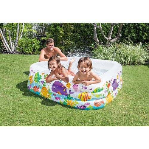 인텍스 Intex Swim Center Clearview Aquarium Inflatable Pool, 62.5 X 62.5 X 19.5, for Ages 3+