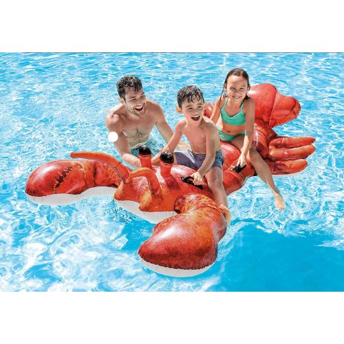 인텍스 Intex Lobster Ride-On, 4.35 Lb