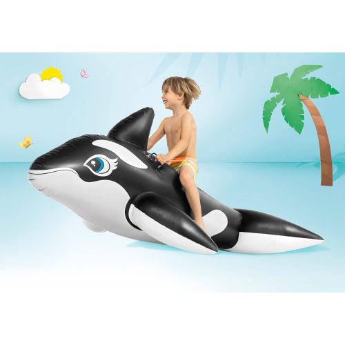 인텍스 Intex Whale Inflatable Pool Ride-On, 76 X 47, for Ages 3+