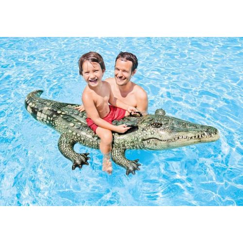 인텍스 Intex Realistic Gator Ride-one, Age 3+, Multi-color, 6x67x34 inches