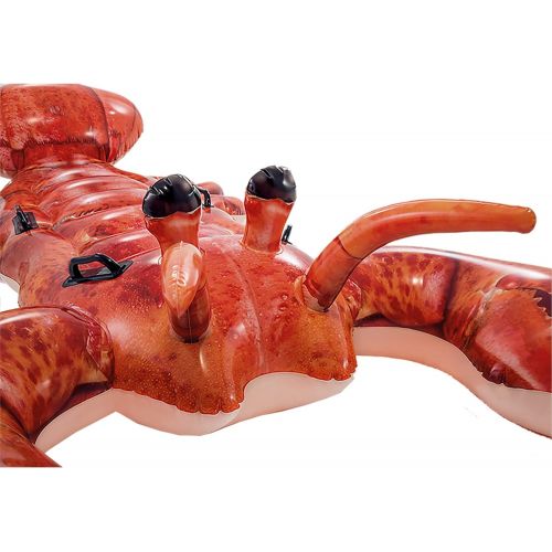 인텍스 INTEX 57533 Float Mat Lobster Ride On 213 x 137cm