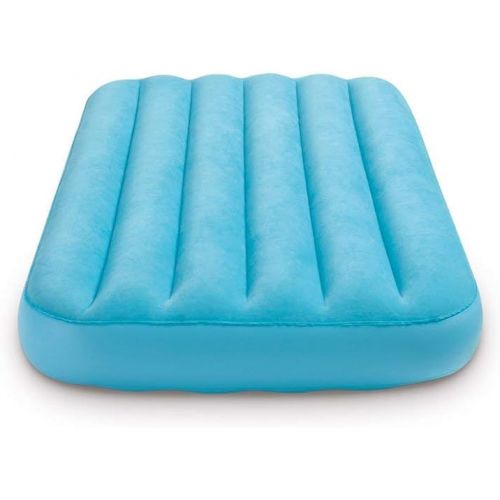 인텍스 Intex Inflatable Air Bed Mattress w/ Bag (2 Pack)120 Volt Electric Air Pump