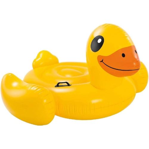 인텍스 Intex IntexA??a??A??Duck 147 x 147 x 81