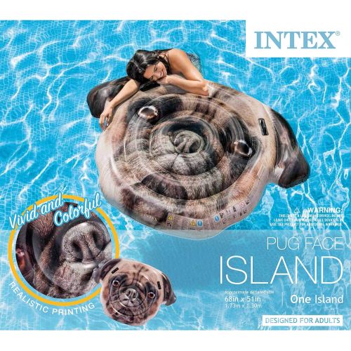 인텍스 Intex Pug Face Inflatable Island