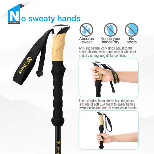  IsYoung isYoung Hiking Trekking Poles 2-Pack Lightweight Aluminum Alpenstocks Mountaineering Anti Shock Trekking Poles with Accessories and Carrying Bag