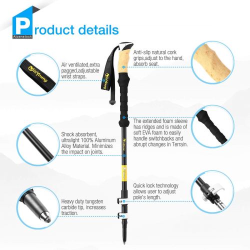  IsYoung isYoung Hiking Trekking Poles 2-Pack Lightweight Aluminum Alpenstocks Mountaineering Anti Shock Trekking Poles with Accessories and Carrying Bag