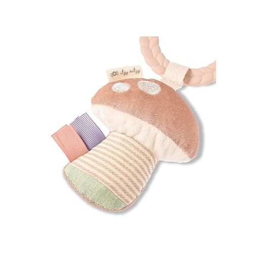  Itzy Ritzy Teething Toy with Braided Ring, Dangling Toys, Textured Ribbons, Crinkle Sound, Jingle Bell and Lovey with Sherpa Fabric, Minky Plush, Dangle Arms, Crinkle Sound, Bunny