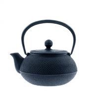 Iwachu 480-161 Japanese Iron Tetsubin Teapot, Hobnail, Black