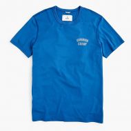 Jcrew Reigning Champ varsity T-shirt in ring-spun cotton