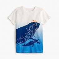 Jcrew Boys deep dive T-shirt