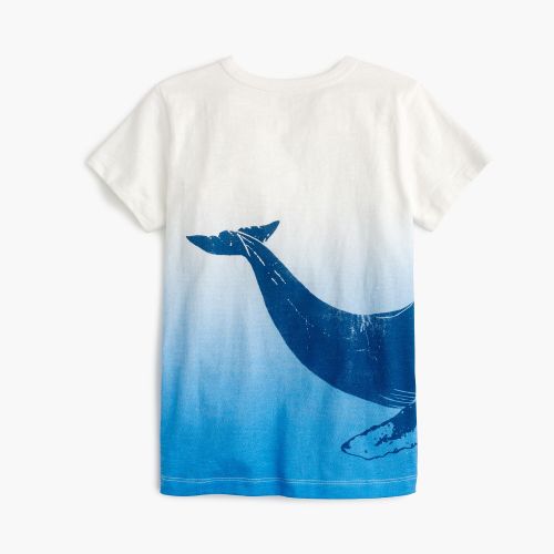 제이크루 Jcrew Boys deep dive T-shirt