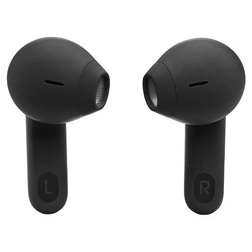 제이비엘 JBL Tune Flex - True Wireless Noise Cancelling Earbuds (Black), Small