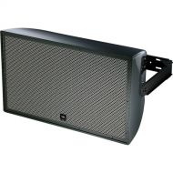 JBL AW566 High Power 2-Way All-Weather Loudspeaker with 15