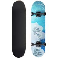 JH Four-Wheeled Skateboard 31 Inches (80cm) 6-12 Years Old and Above Young People/Adult Professional Action Type (Arctic) Double Tilt Skateboard